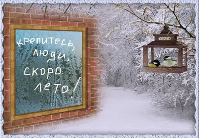Крепитесь люди, скоро лето\" и другие замечательные российские песни о зиме.  | Максим. | Дзен