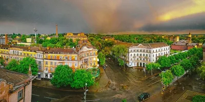 Контактный зоопарк Зверополис Кривой Рог | Дети в городе Кривой Рог