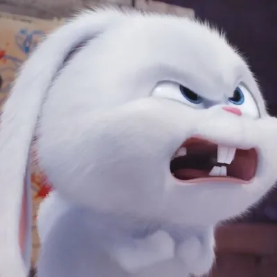Кролик снежок (43 фото) | Снежок, Кролик, Милый мультфильм