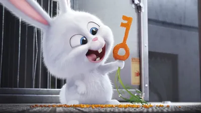 Обои на рабочий стол Белый кролик Снежок держит морковь в форме ключа из  мультфильма Тайная жизнь домашних животных / The Secret Life of Pets, обои  для рабочего стола, скачать обои, обои бесплатно
