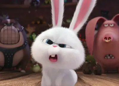 Кролик снежок (43 фото) | Cute cartoon wallpapers, Cute bunny cartoon, Cute  cartoon pictures