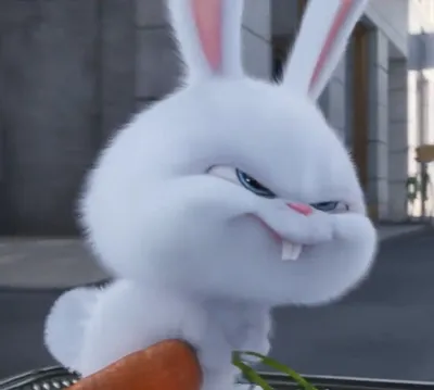 Кролик снежок (43 фото) | Cute cartoon wallpapers, Cartoon pics, Cute bunny  cartoon