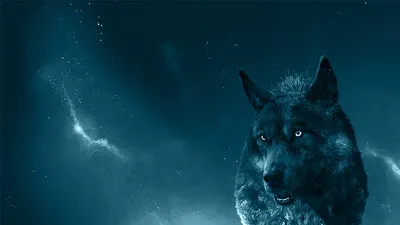 Wolf. Волк. PNG. | Искусство силуэта, Абстрактные раскраски, Милые рисунки