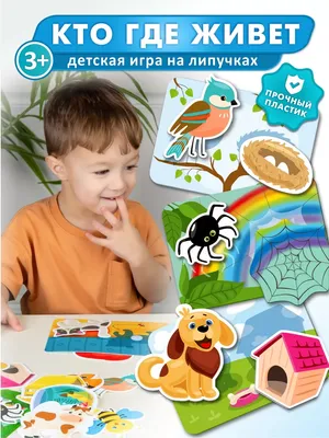 Кто где живет. Для занятий с детьми от 2 до 3 лет (Дарья Денисова) - купить  книгу с доставкой в интернет-магазине «Читай-город». ISBN: 978-5-86-775226-2