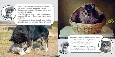Плакат \"Кто живет на ферме\" – купить по цене: 50 руб. в интернет-магазине  УчМаг