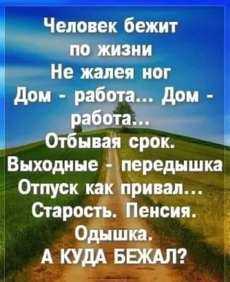 Русский перевод рубая Омар Хайама звучит так: Кто понял жизнь тот больше не  спешит, Смакует каждый миг и наблюдает, Как спит ребёнок, молится старик,  Как дождь идёт и как снежинка тает. Нужен