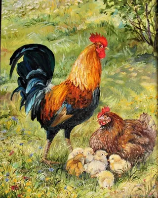 Петух и курица рисунок - 76 фото