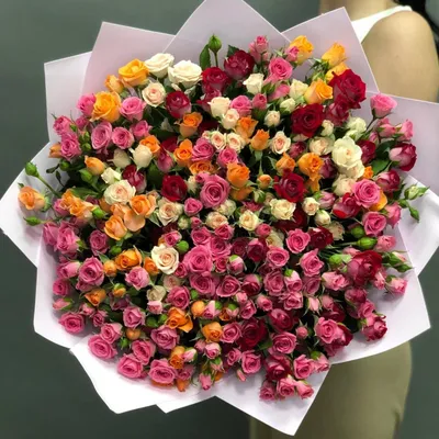 Купить Букет 9 веток кустовой розы с упаковкой R527 в Москве, цена 4 750  руб.