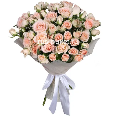 Кустовые розы с эвкалиптом купить в Москве с доставкой от Пегас фловерс 24  часа