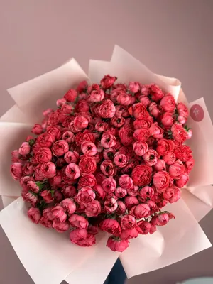 Пионовидные кустовые розы - купить с доставкой в Омске - LAVANDA