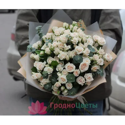 Заказать \"3 кустовые розы в оформлении\" | Цветули - уникальный сервис по  доставке цветов без накруток и посредников в городе Челябинск
