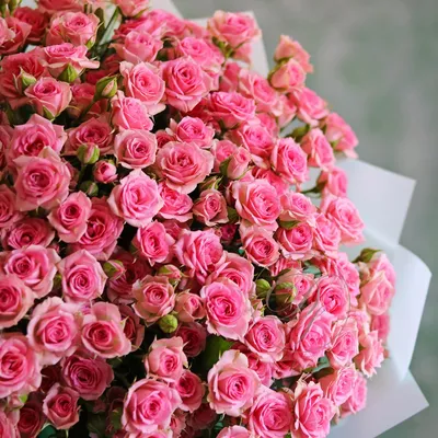 Букет кустовых роз с эвкалиптом кустовая роза с эвкалиптом заказать в  Гродно: доставка, цена, фото
