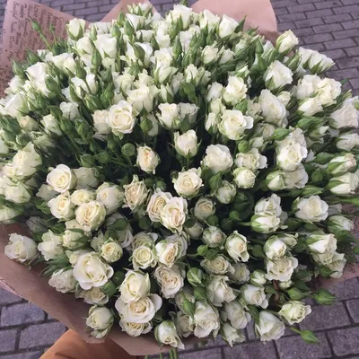 Кустовые розы купить букет | Доставка цветов Москва | Интернет-магазин  dakotafora.com