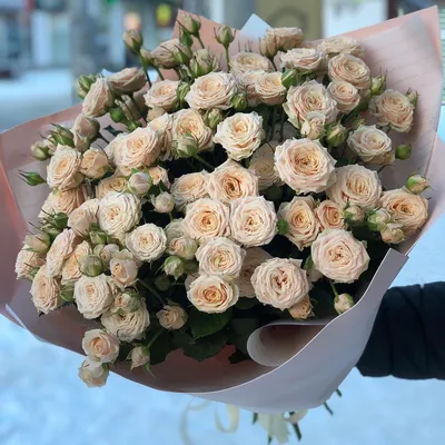 Роза кустовая персиковая по цене 333 ₽ - купить в RoseMarkt с доставкой по  Санкт-Петербургу