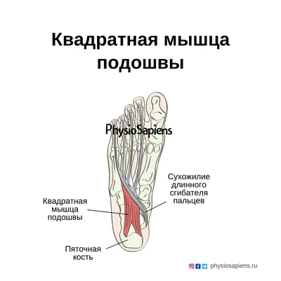 Сковорода чугунная квадратная 280 на 280 миллиметров