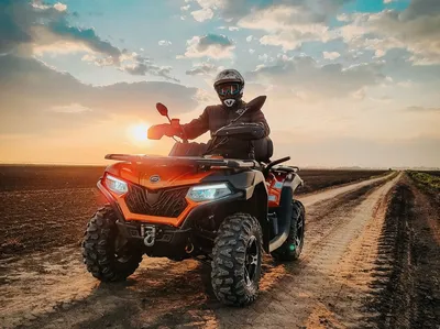 Квадроцикл FORTE ATV-250BS-T Синий — купить за 144 115 грн в Украине |  интернет-магазин budpostach.ua