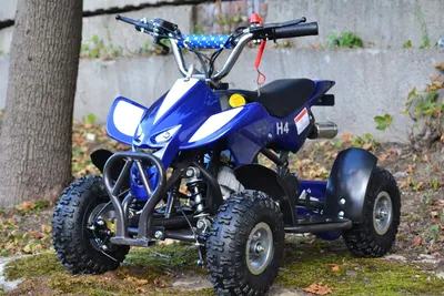 Квадроцикл Comman ATV 125 XT-N цена и отзывы, купить в кредит - Agromoto