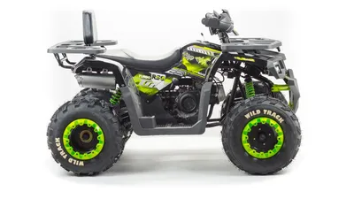 Купить квадроцикл ATV 250 ADVENTURE — Описание, характеристики, фото, видео.