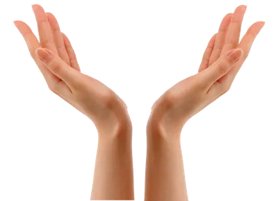 женская ладонь руки стоковое изображение. изображение насчитывающей женщины  - 53633441