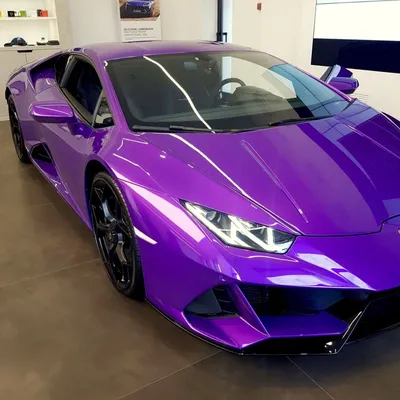 Lamborghini | Самбо, Обои, Идеи наряда