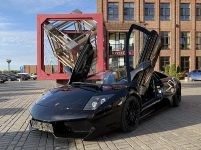 Металлическая машинка модель Lamborghini Sian (Ламба Сиан) FKP 37 1:24 20см  - Черный - купить с доставкой по выгодным ценам в интернет-магазине OZON  (472239173)