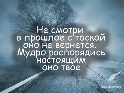 50 мотивирующих и вдохновляющих цитат на каждый день - Чемпионат