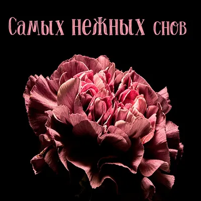 Картинки \"Спокойной Ночи!\" (3074 шт.)