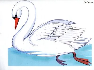 Рисунок лебедя для детей - 73 фото