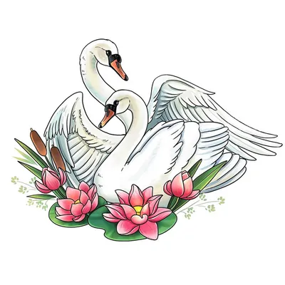 Лебеди — раскраски для детей скачать онлайн бесплатно