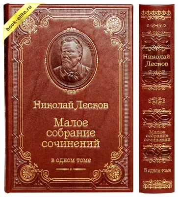 Лесков Николай Семенович — биография писателя, личная жизнь, фото,  портреты, книги