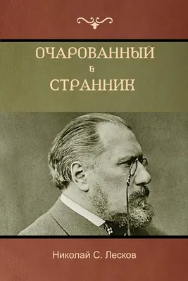 Отменённый писатель — почему Николай Лесков сегодня один из самых  актуальных классиков | Пикабу