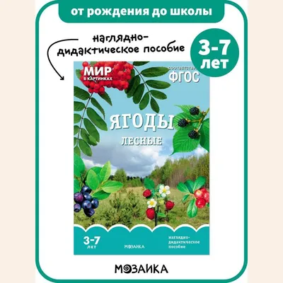 Биолакт ФрутоНяня питьевой с лесными ягодами 2,9% 0,2 л с 8 месяцев купить  по цене 99 ₸ в интернет-магазине Детский мир