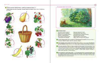 Купить Ягоды Беларуси. Ягады Беларусі. Развивающий фотоплакат для  современных детей (2020) в Минске в Беларуси | Стоимость: за 4.27 руб.