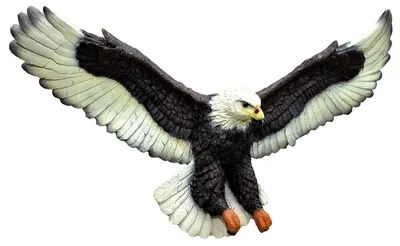 Орел летящий (57 фото) - красивые фото и картинки pofoto.club