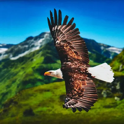 Панно - Летящий Орел купить в интернет-магазине LaserMaker