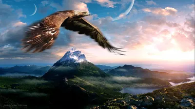 Летящий орел рисунок - 67 фото