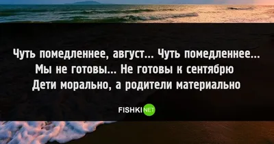 Лето в Санкт-Петербурге в 2023: музыкальные, гастрономические и другие  фестивали и события