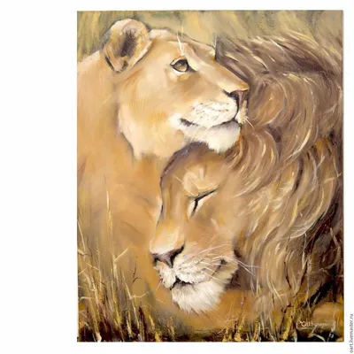 Лев и львица (54 лучших фото)
