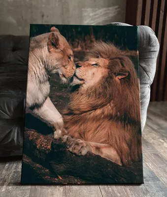 Картина на холсте (лев львы львица любовь пара и) 80 60 вертикально  интерьерная, в комнату, на стену, в спальню - купить по низкой цене в  интернет-магазине OZON (581418664)
