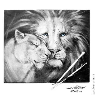 Скачать 3840x2160 лев, львица, ласки, любовь, хищники обои, картинки 4k uhd  16:9