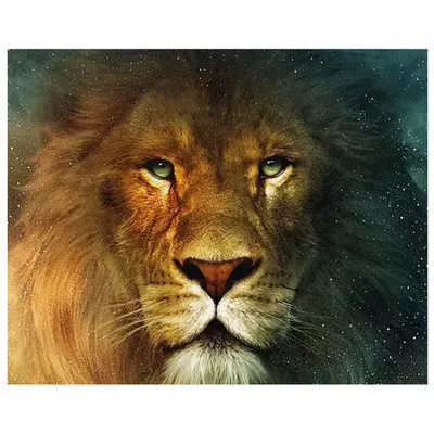 Лев-царь зверей | Пикабу