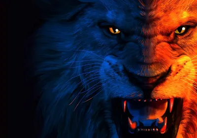 Лев - царь зверей - Фото клипарт - животные и звери - Животные и звери