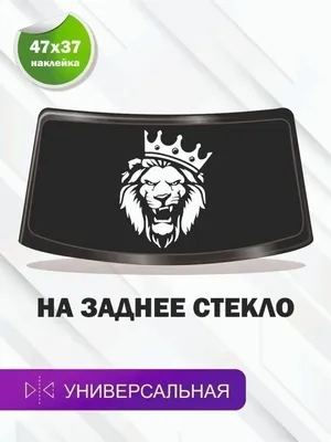 Обои на рабочий стол Царь зверей - лев, обои для рабочего стола, скачать  обои, обои бесплатно