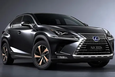 Feel More In Every Moment | Lexus NX | Lexus Europe