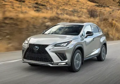 Lexus NX review 2024 | Auto Express