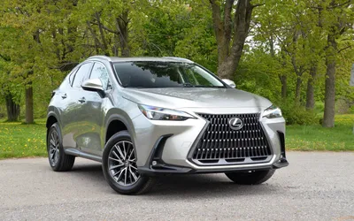 Feel More In Every Moment | Lexus NX | Lexus Europe