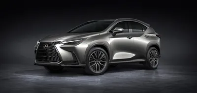 2018 Lexus NX emerges - carsales.com.au