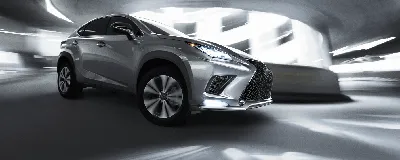 Express What Drives You, With The 2020 Lexus NX Series