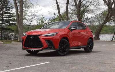 2020 Lexus NX Dimensions | Ray Catena Lexus of Monmouth