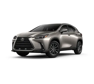 Lexus NX Dimensions In Danvers, MA | Ira Lexus of Danvers